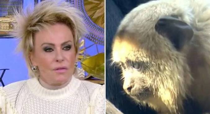 Ana Maria Braga anuncia demissão de funcionário por erro