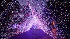 Túnel de luz e enfeites de Natal de Maringá devem custar R$ 1,3 milhão