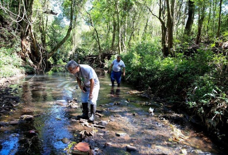 IAM atendeu 33 ocorrências de poluição hídrica em Maringá em 2022