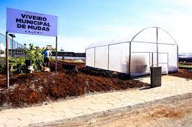 Viveiro Municipal produz 20 mil mudas anualmente