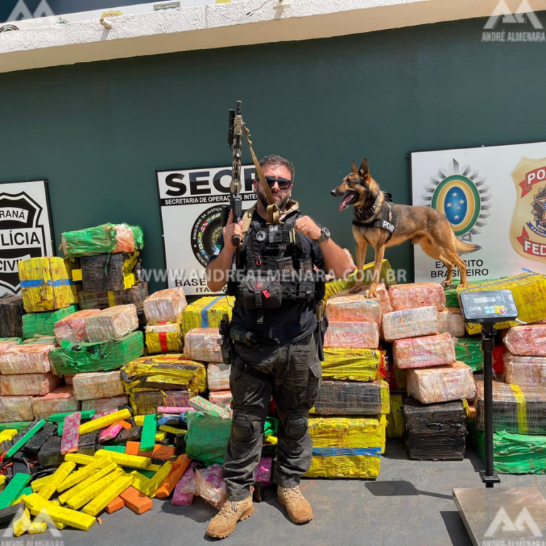 PC apreende R$ 6 milhões em drogas na região de Maringá