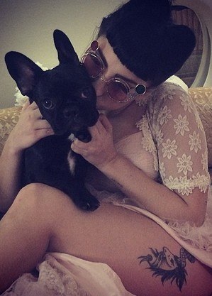 Homem que roubou cachorros de Lady Gaga é condenado a 21 anos de prisão