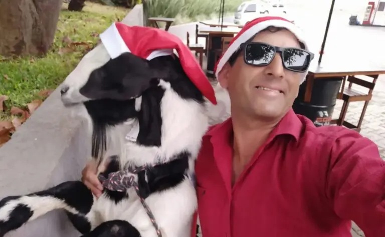 <strong>Furtou bode e tentou vender o animal para o irmão do dono</strong>