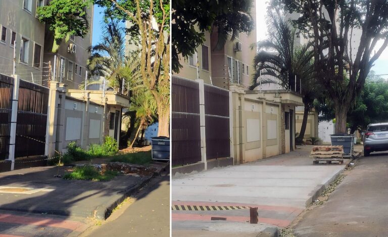 Árvore retirada e local cimentado, ação contraria legislação municipal