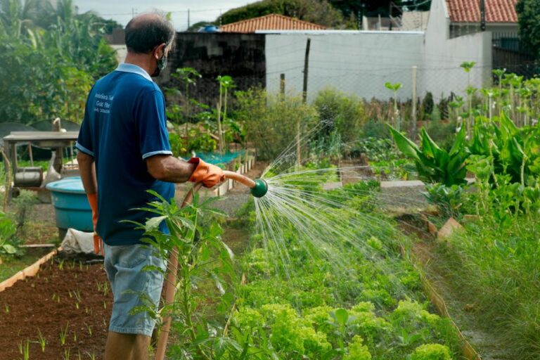 Prefeitura de Maringá inaugura 40ª horta comunitária