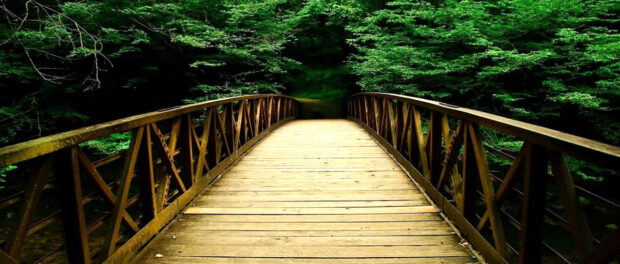 Pontes ou cercas?