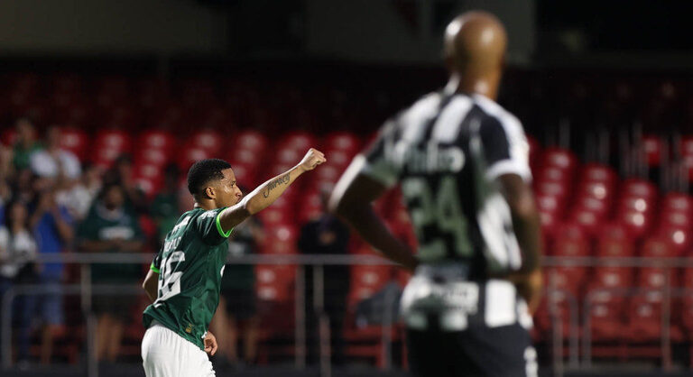 Palmeiras vence clássico contra o Santos