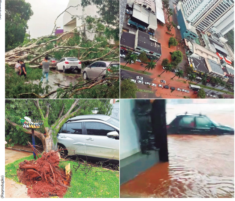 Forte chuva e ventania causam estragos em Maringá