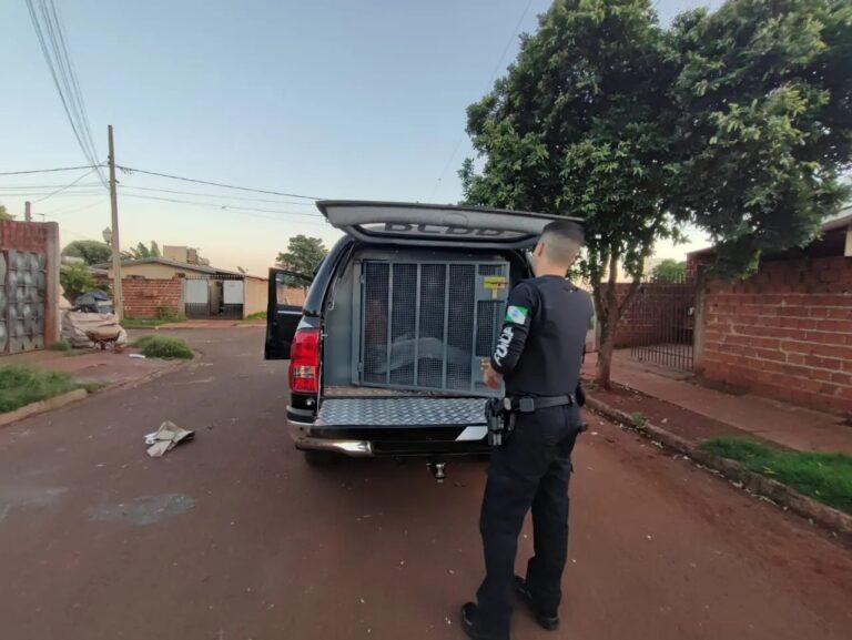<strong>Polícia prende suspeitos de estupros de vulneráveis em Sarandi</strong>