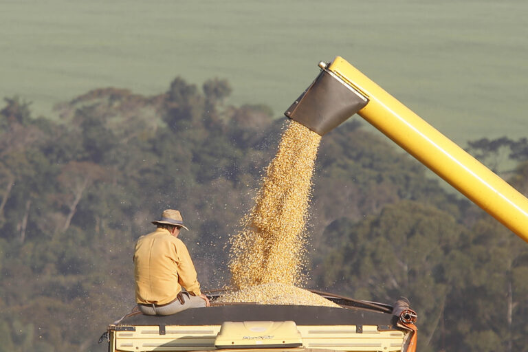Exportações do Paraná avançam 13,6% no 1º bimestre de 2024