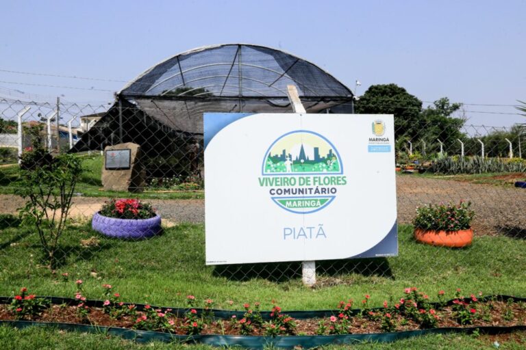 Festa das Flores 2023 terá plantas a partir de R$ 1