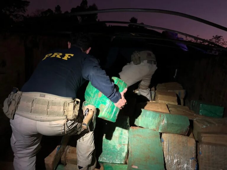 Maior apreensão de maconha do ano é feita pela PRF no Paraná 