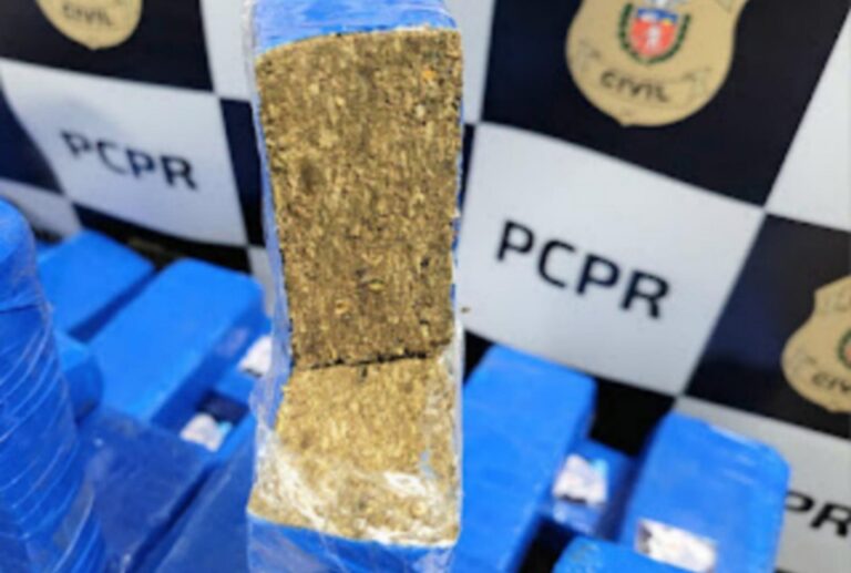 Polícia fecha depósitos de drogas em Maringá
