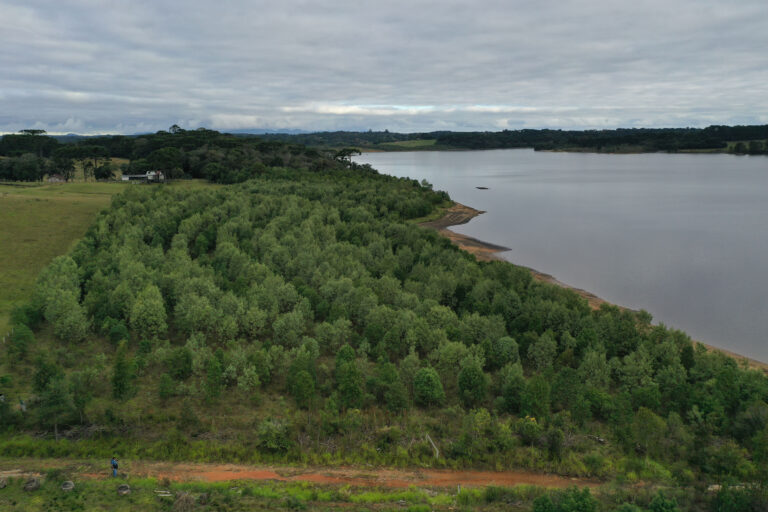 Paraná tem 26,2 mil km² de Unidades de Conservação