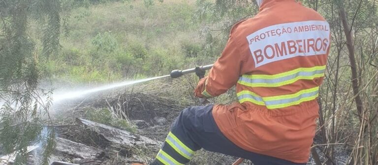 Maringá registra 166 incêndios ambientais neste ano