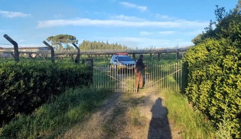Filha é acusada de matar o próprio paino Paraná