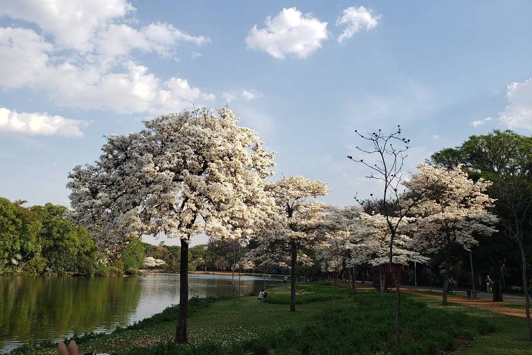Anúncios da Primavera