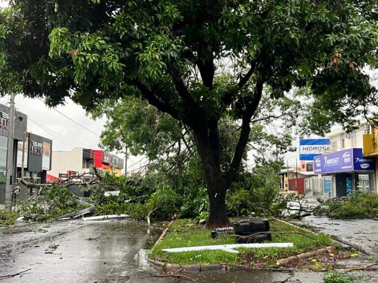 Maringá tem estragos com temporal do final de semana