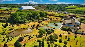 Parque do Japão ficará fechado até fevereiro