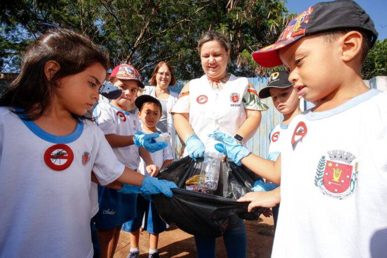 Dia D contra a Dengue será realizado em Cmeis