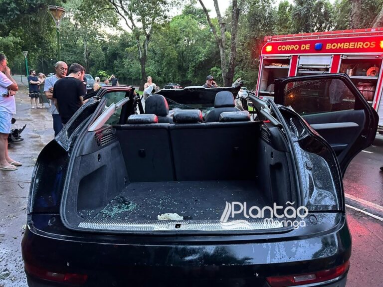 Carro de luxo fica destruído após bater em árvore