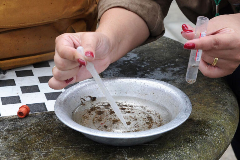 Maiores índices de infestação do aedes aegypti foram registrados na região da UBS Mandacaru