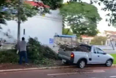 Descarte irregular é encontrado em canteiro central de avenida