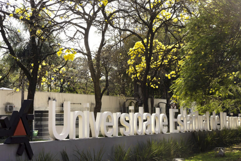 UEM se destaca em ranking internacional de impacto sustentável