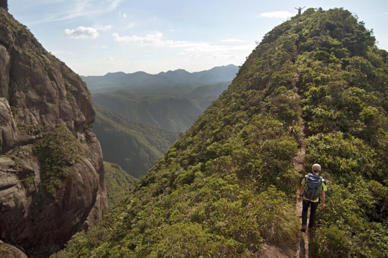 Com alta do turismo, setor de serviços do Paraná cresceu 11% em 2023, 2ª maior alta do Brasil
