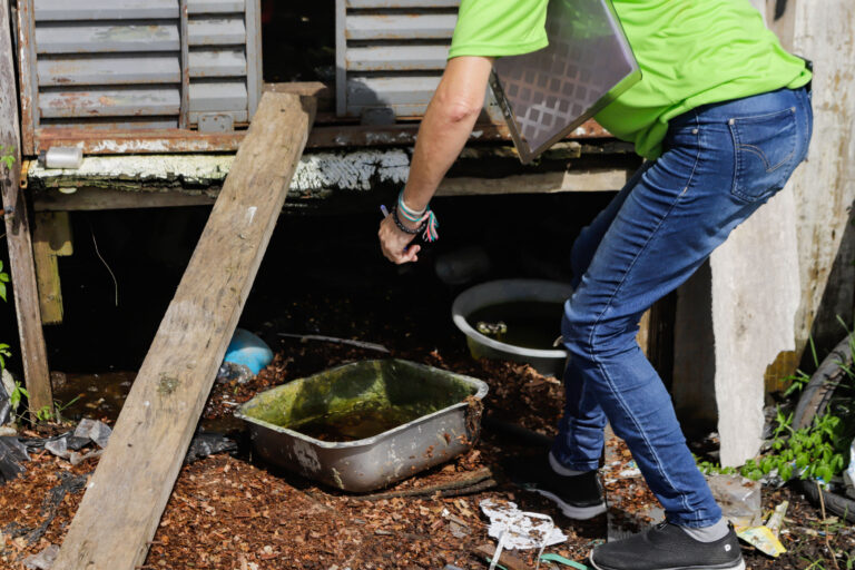 Estado decreta situação de emergência para dengue
