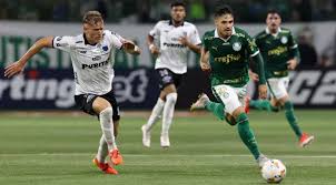 Palmeiras vence em casa e lidera grupo na Libertadores