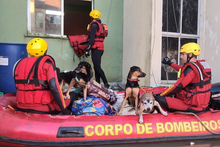 Forças de segurança do PR seguem apoiando o RS
