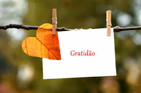Gratidão, grátis, de graça