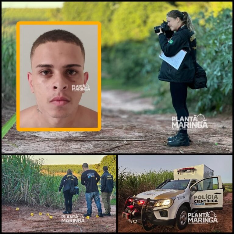 Jovem é encontrado em canavial com a cabeça decepada