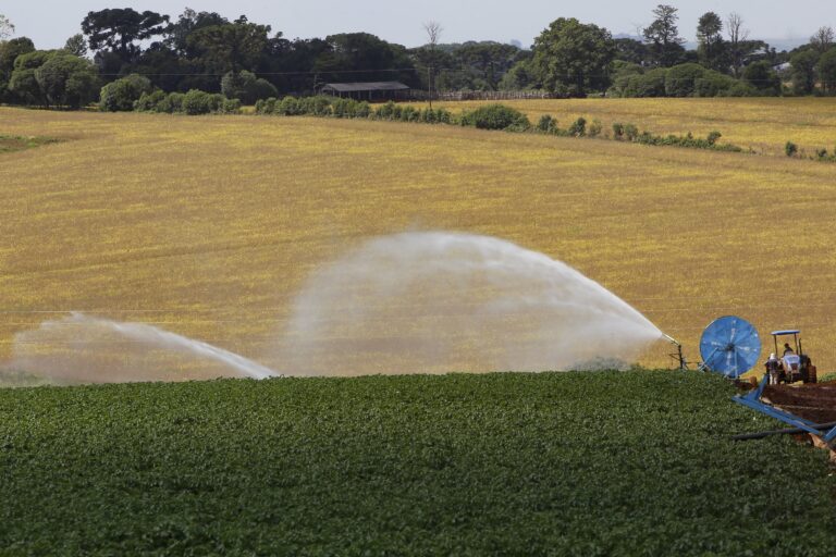 Governador sanciona lei que institui política de segurança hídrica na agricultura no Paraná