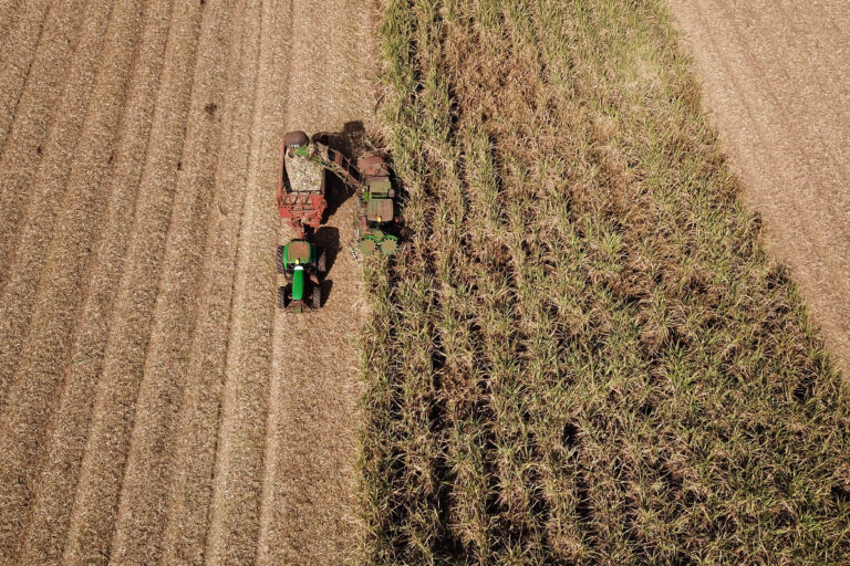VBP Agropecuário do Paraná cresce 11% em 2023 e alcança R$ 197,8 bilhões