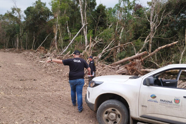Crimes ambientais tiveram redução de 30% na região de Maringá