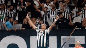 Botafogo vence Palmeiras e abre vantagem no Brasileirão