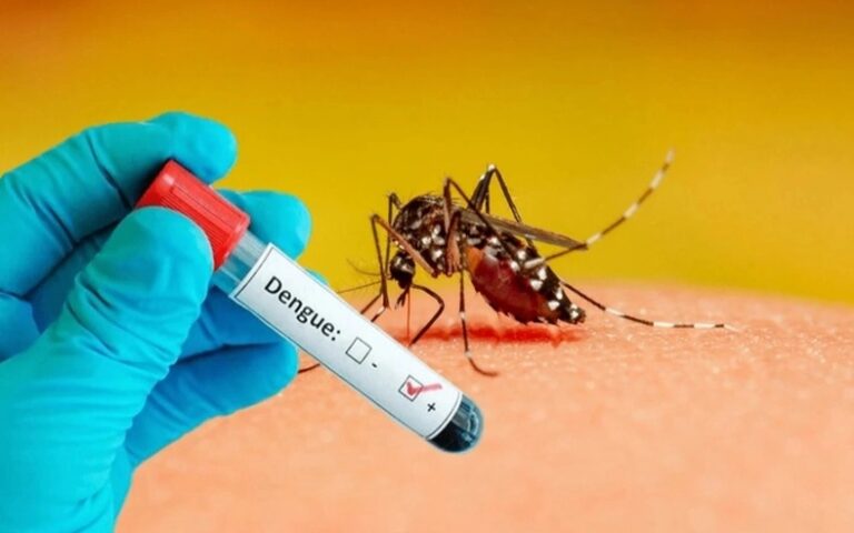 15ª Regional de Saúde tem 41.510 casos de dengue