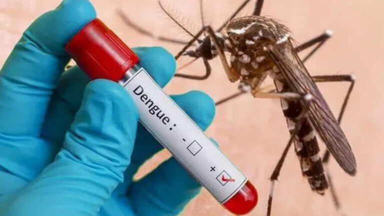 15ª Regional de Saúde tem 40.392 casos de dengue