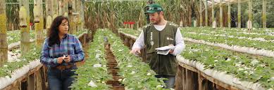 ATeG: melhoria na base da agropecuária do Paraná