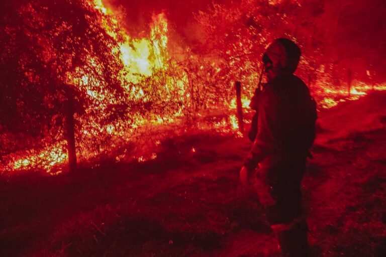 Bombeiros atenderam quase 10 mil incêndios florestais no Paraná em 2024