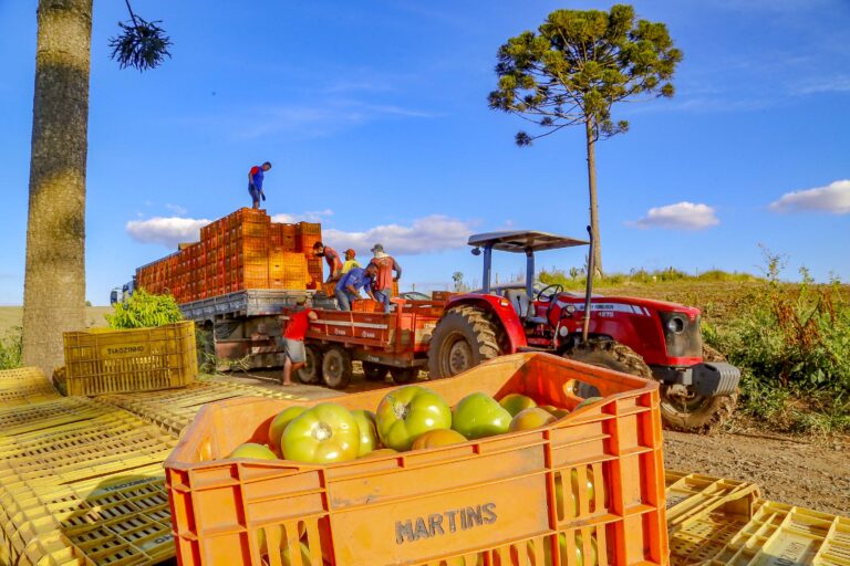 Preços de alimentos e bebidas tiveram queda de 1,29% em julho no Paraná