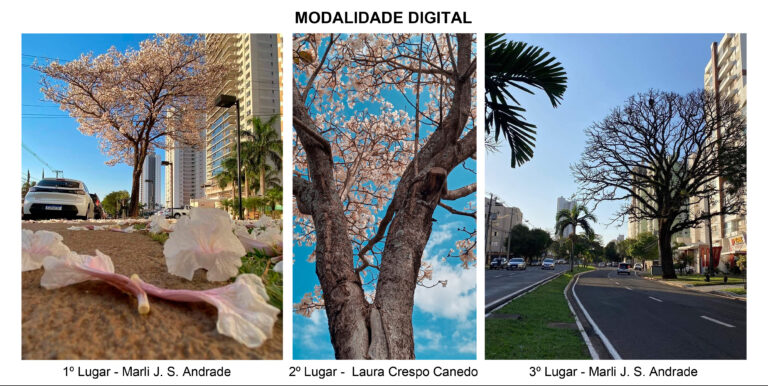 Concurso “As Árvores do Passeio Público de Maringá” está com inscrições abertas