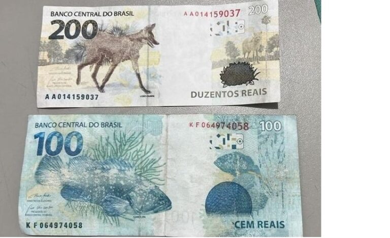 Paraná é um dos estados por onde mais circulam notas falsas