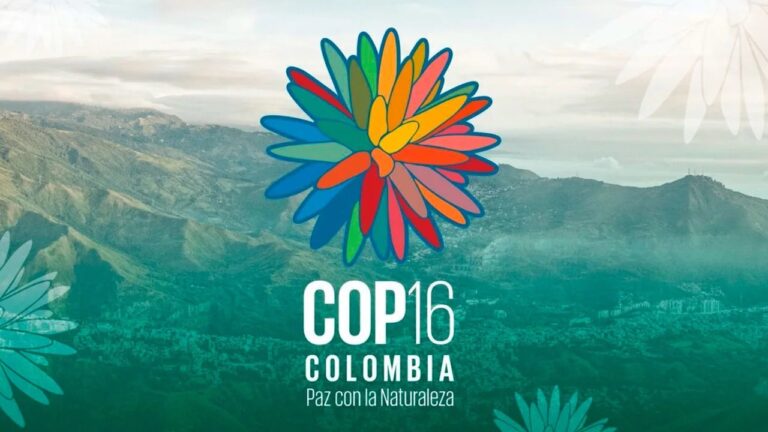 Itaipu integra delegação da coalizão LIFE na COP16 da Biodiversidade