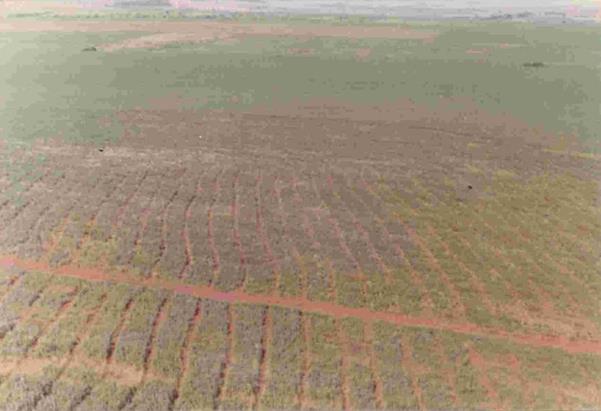 Itaipu faz inventário histórico do Refúgio Biológico de Santa Helena
