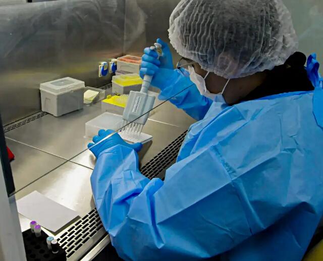 Maringá precisa comprovar recebimento de testes laboratoriais para rastrear câncer