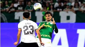 Palmeiras perde para Botafogo e vê título ficar mais difícil