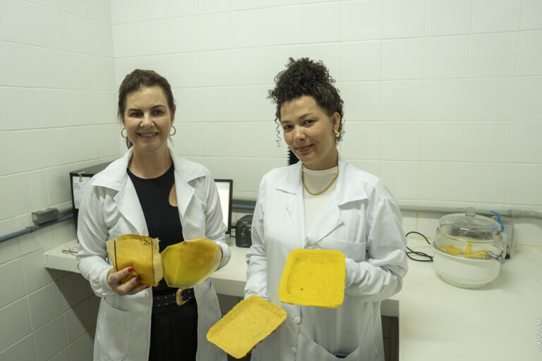 Pesquisadora da UEM transforma macaúba em embalagens